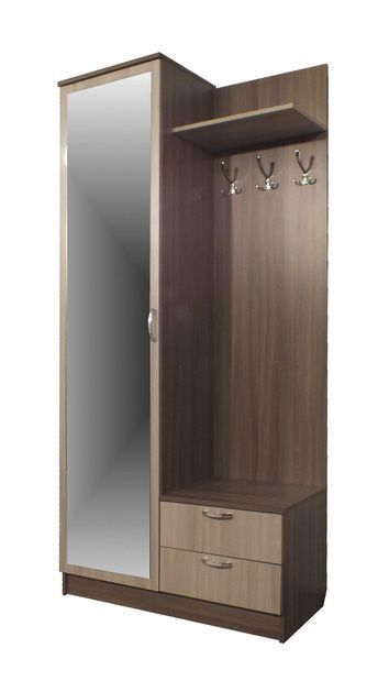 Dəhliz dolabı sadə